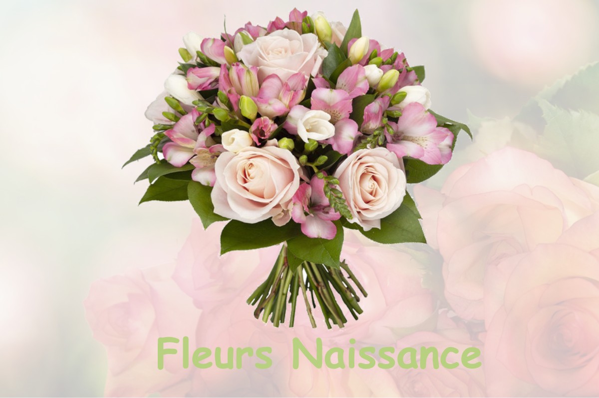 fleurs naissance PRECHACQ-LES-BAINS