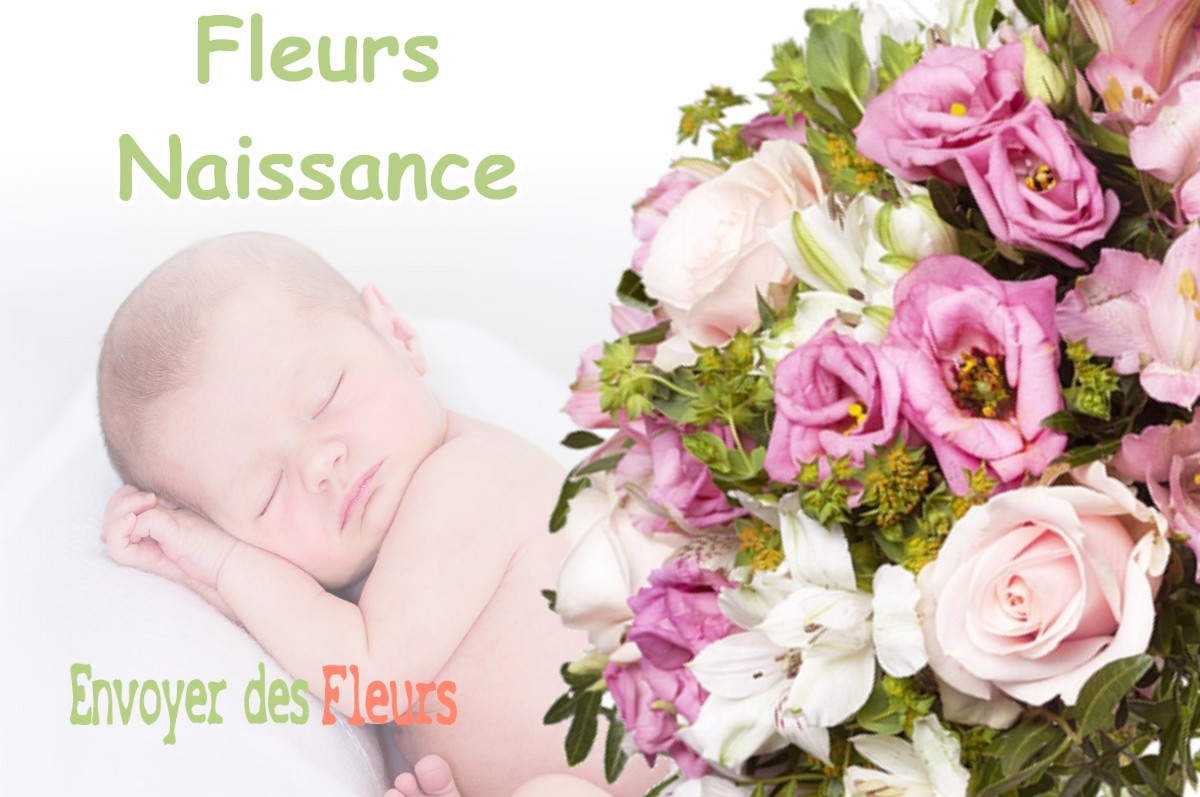 lIVRAISON FLEURS NAISSANCE à PRECHACQ-LES-BAINS